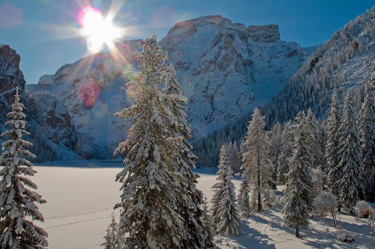 Silentium Dolomites Chalet Since 1600 Monguelfo-Tesido / Welsberg-Taisten Dış mekan fotoğraf